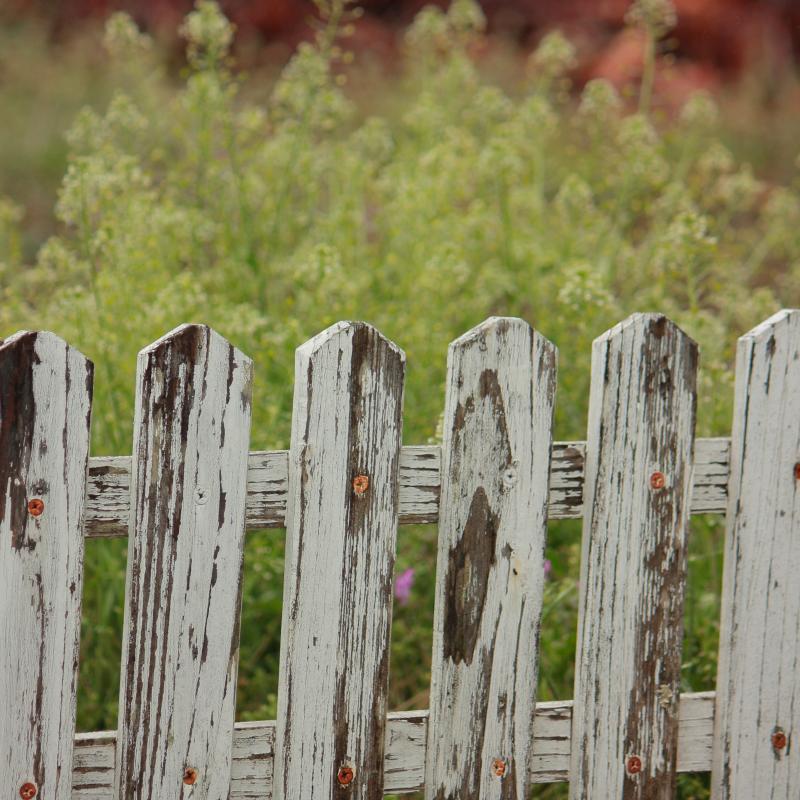 Duong Chung 3qde3kgzjxy Unsplash